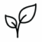 Asset xyz