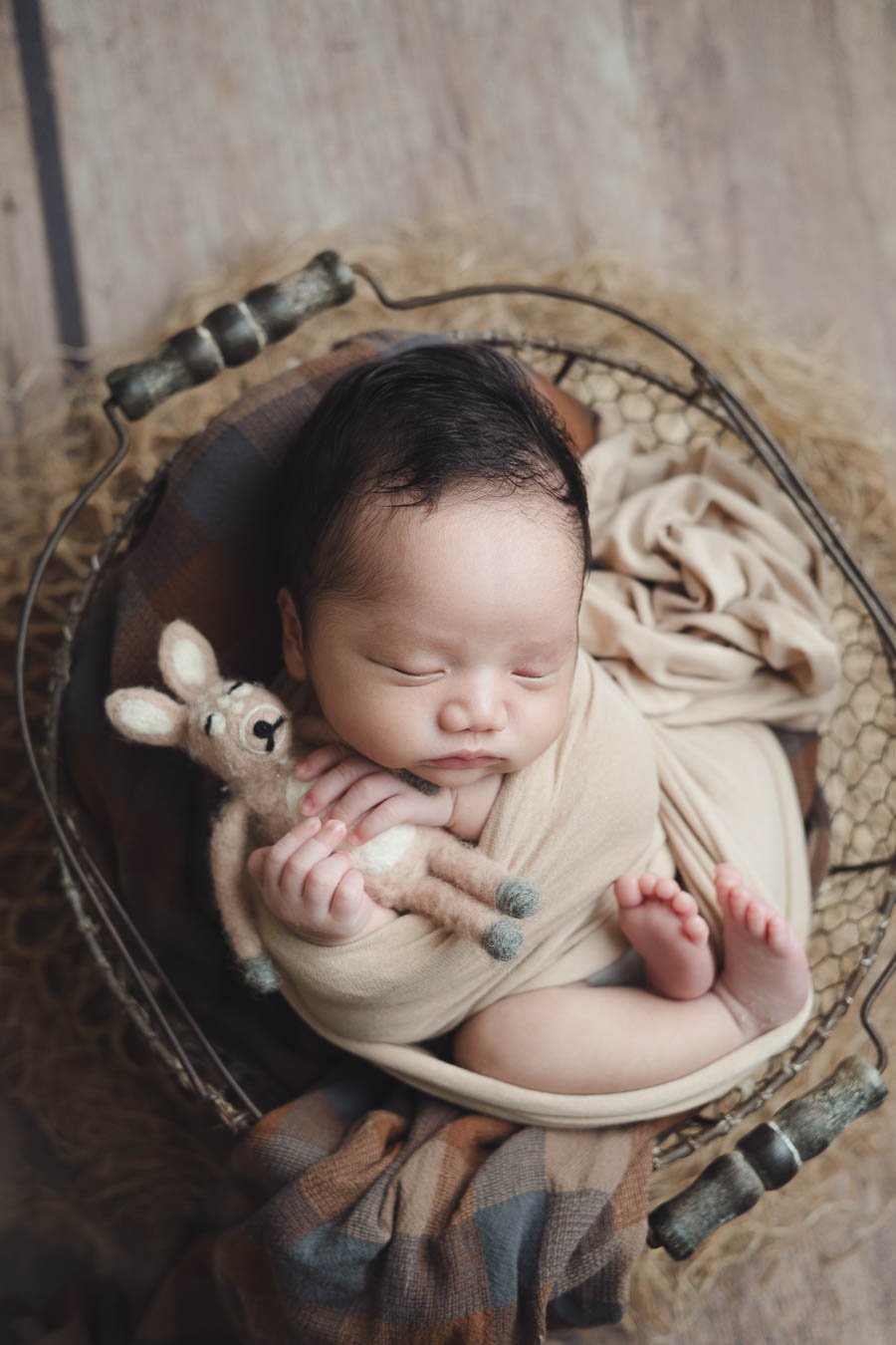Newborn baby sleeping in a steel prop basket holding a small deer soft toy