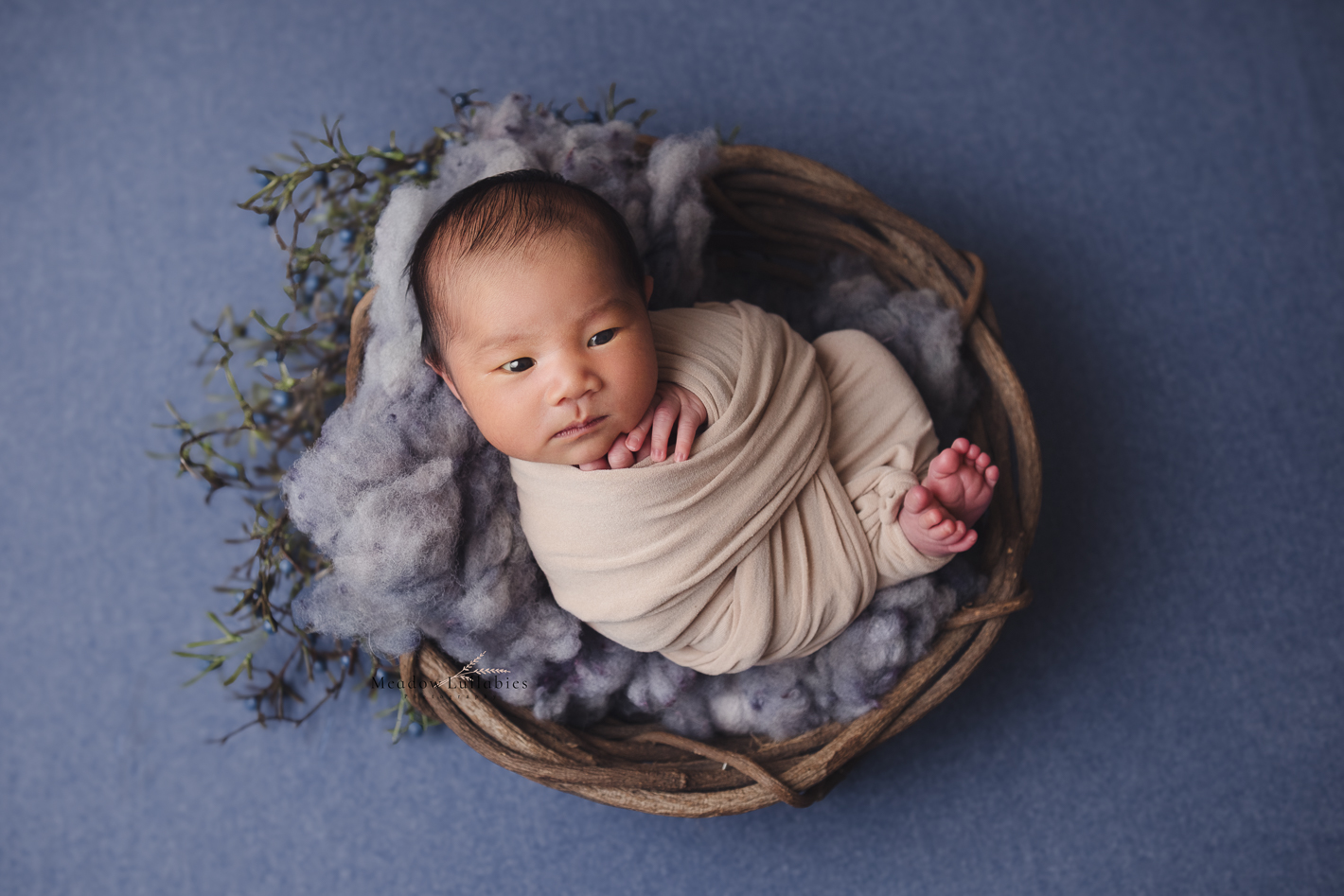 newborn baby wrapped up in tree basket with blue backdrop